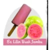 Makanan Tradisional Es Lilin Buah Jambu